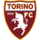 Torino Wappen